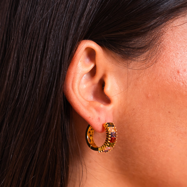 Lebendige Farbenpracht