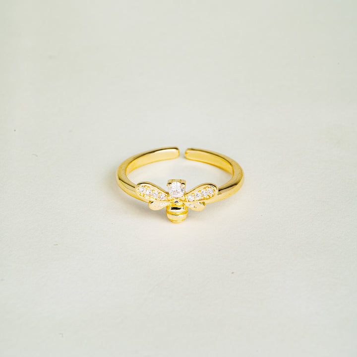 Laila: Ein fesselndes Erlebnis